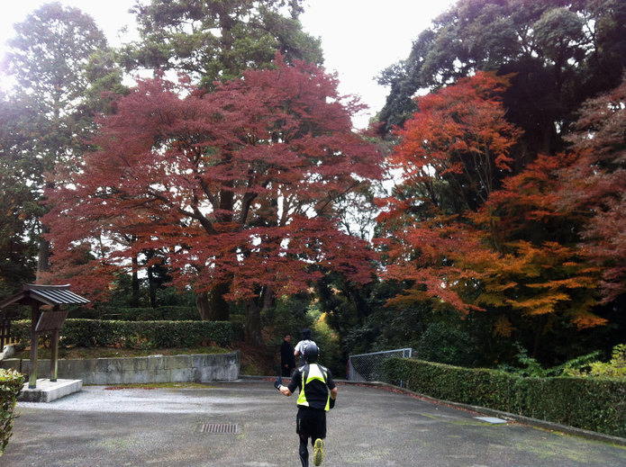 泉涌寺界隈の紅葉。
