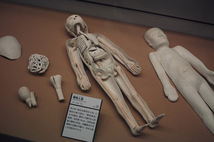 江戸時代の人体模型（模造品）。